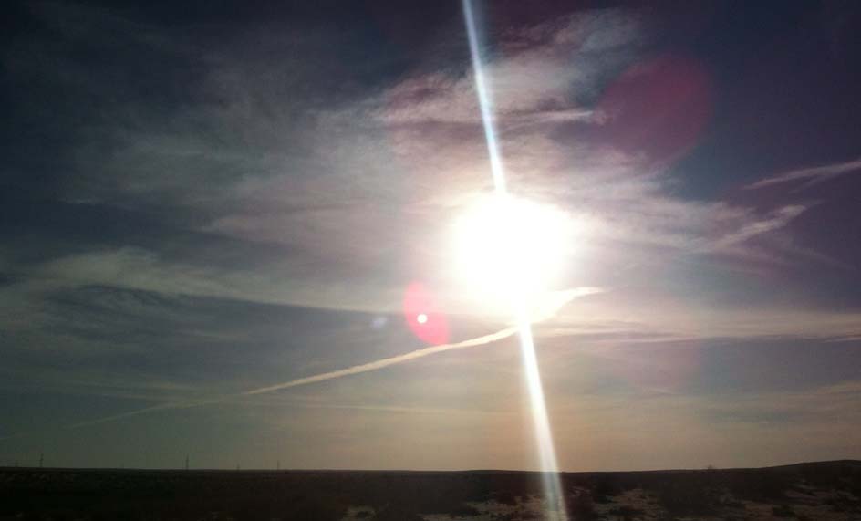 Image_1 Image_1