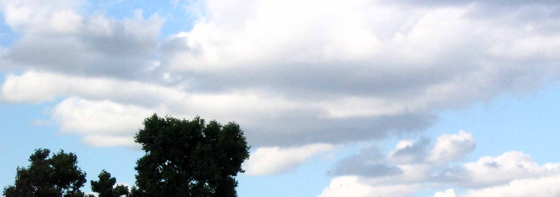 Image_7 Image_7